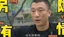 狗仔爆料五个大瓜视频大全,五大热门视频大揭秘，娱乐圈风云再起！